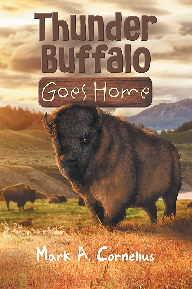 Thunder Buffalo Goes Home